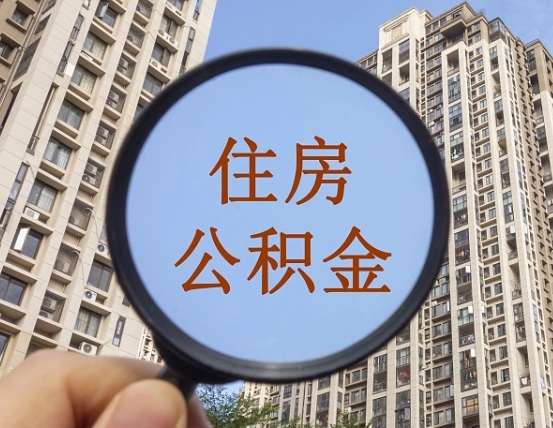阳谷被单位开除多久可以取公积金（被开除后多久能取公积金）